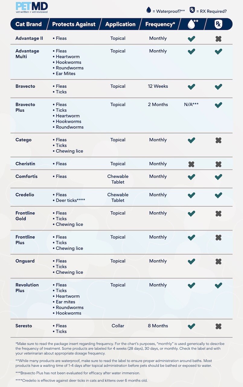 Guide to Flea and Tick Prevention for Cats PetMD